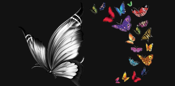 Black Butterfly Candle Co.