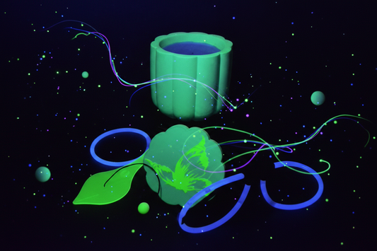Glow in the Dark Wonder